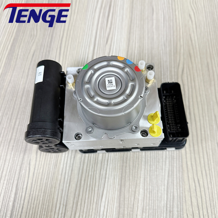 1 Pezzo Compressore Pompa Sosp - Shock Pump Suspension recensione e prezzo